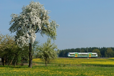 www.vogtlandbahn.de