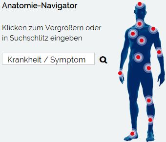 Anatomie-Navigator
